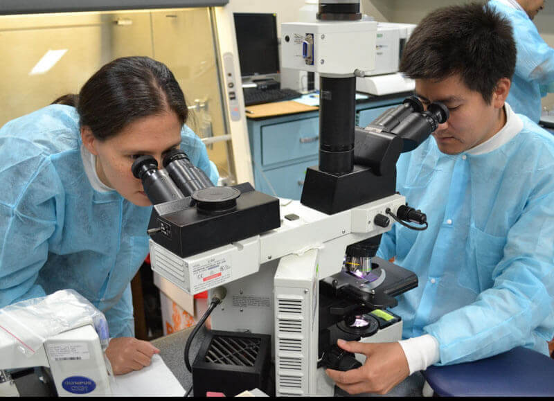 US Navy Lt. Kimberly Edgel, left, and Christian Baldeviano examine a positive malaria blood smear at Naval Medical Research Unit (NAMRU) 6 in Callao, Peru.