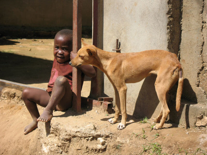 Children are the most vulnerable age group for rabies exposure throughout the world. Credit: Michael Niezgoda, CDC. 