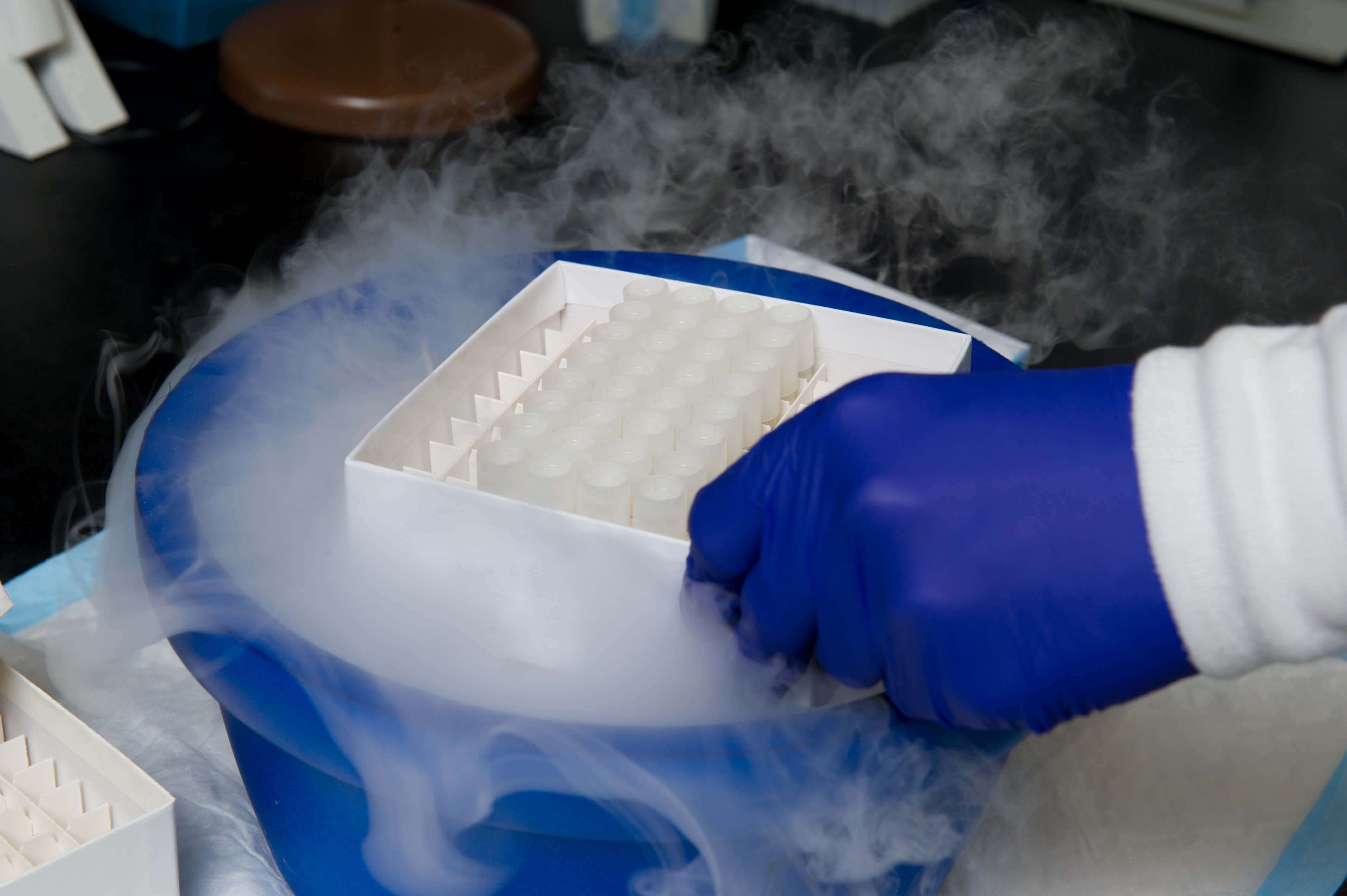 An AR isolate panel is removed from the freezer. Photo: CDC
