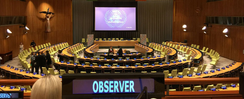United Nations General Assembly (Photo: GHTC/Matthew Robinson). 