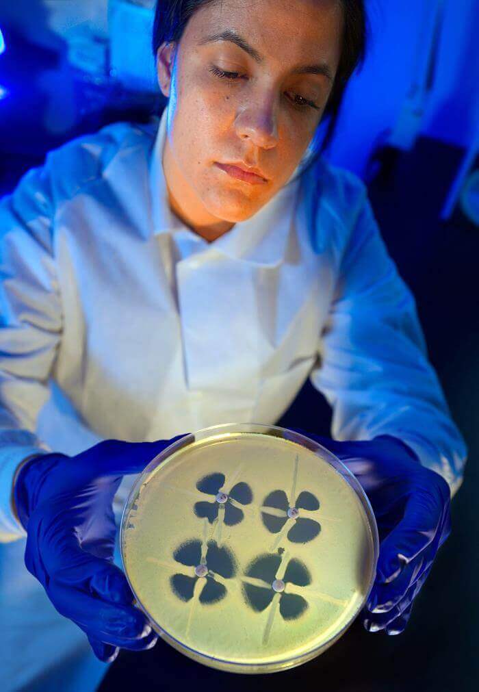 A CDC scientists examines antibiotic resistant bacteria. CDC/ Melissa Dankel