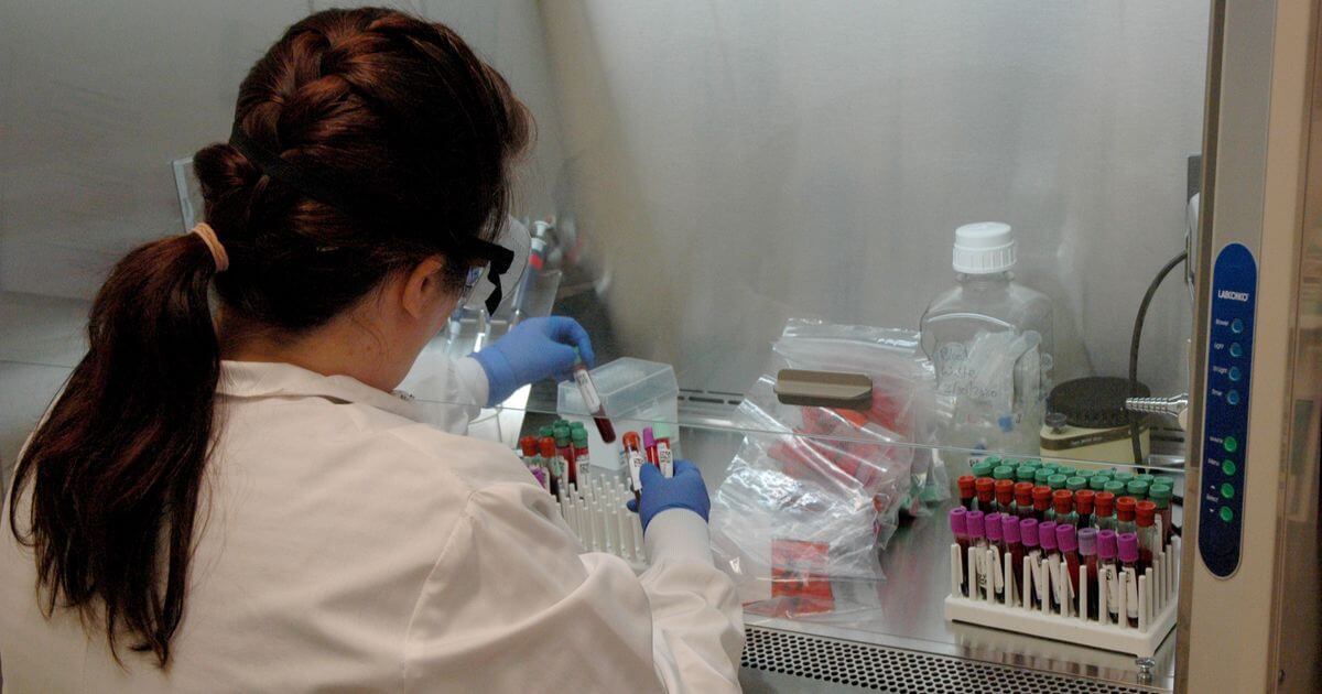 Research Roundup: Dengue treatment trials, Insecticide-treated bednets ...