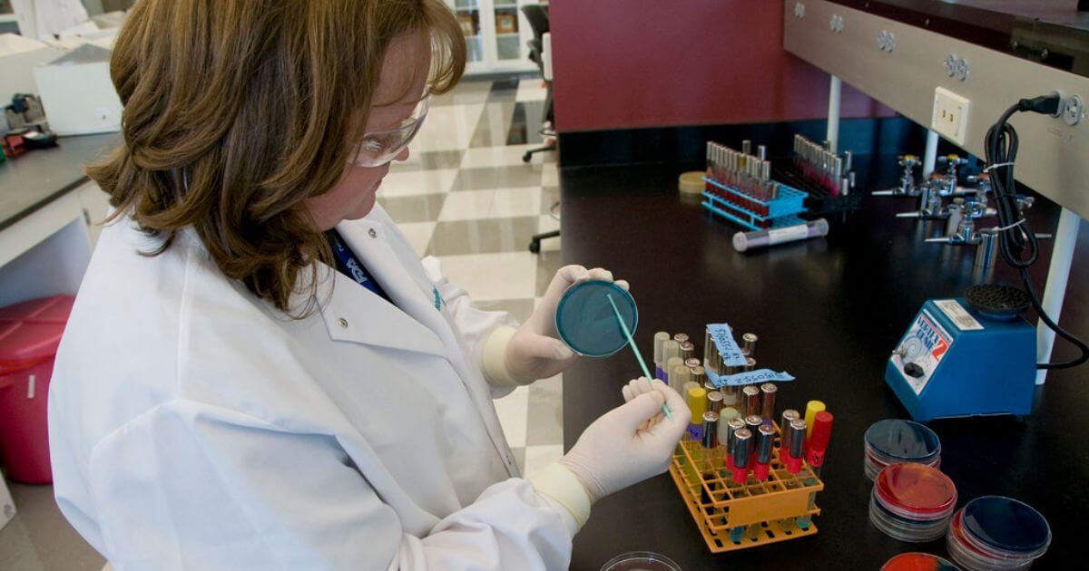 Research Roundup: New gonorrhea treatment, Arenavirus vaccines, Study sheds light on viral infection - Vimarsana News